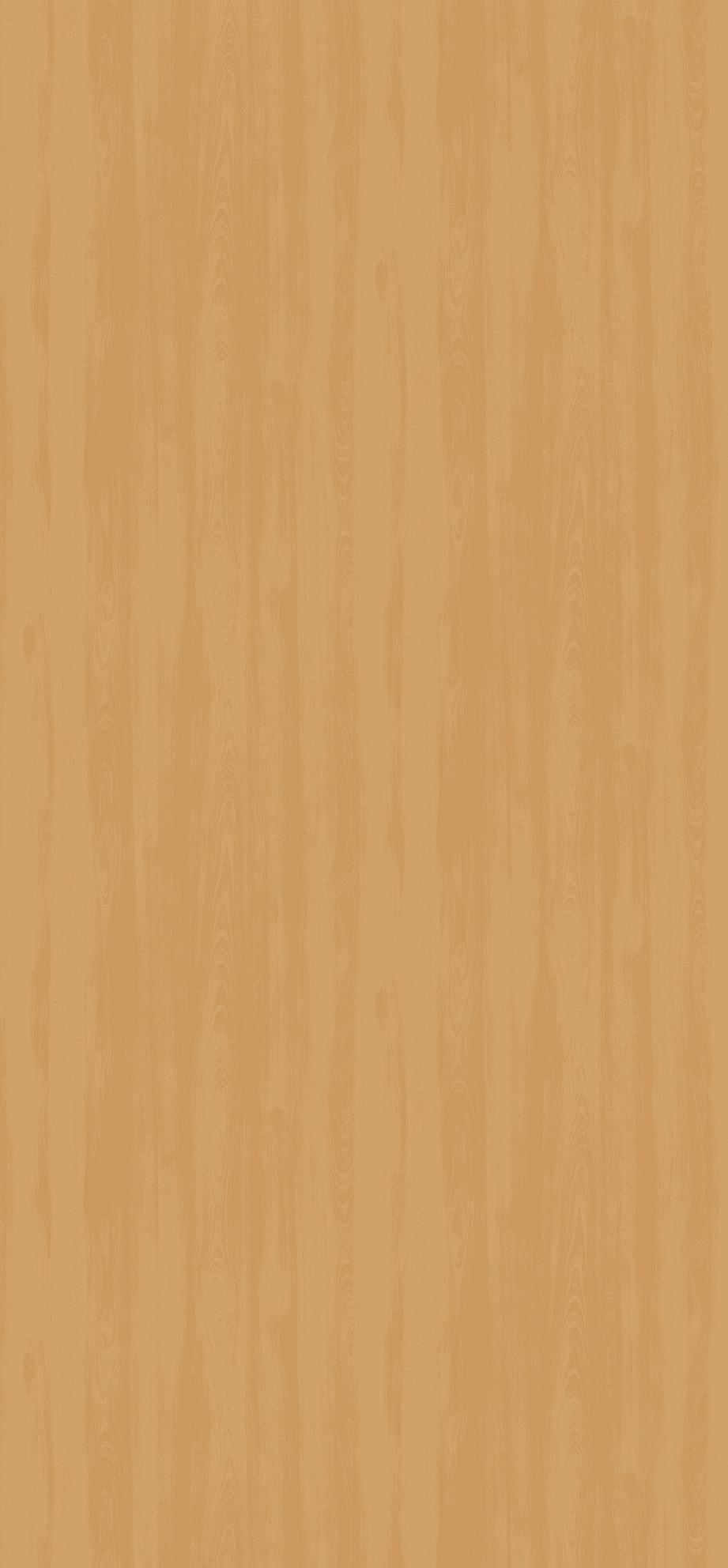 EGGER H1910 H1910 ST10  БУК БУКИНГЕМ НАТУРАЛЬНЫЙ — декор