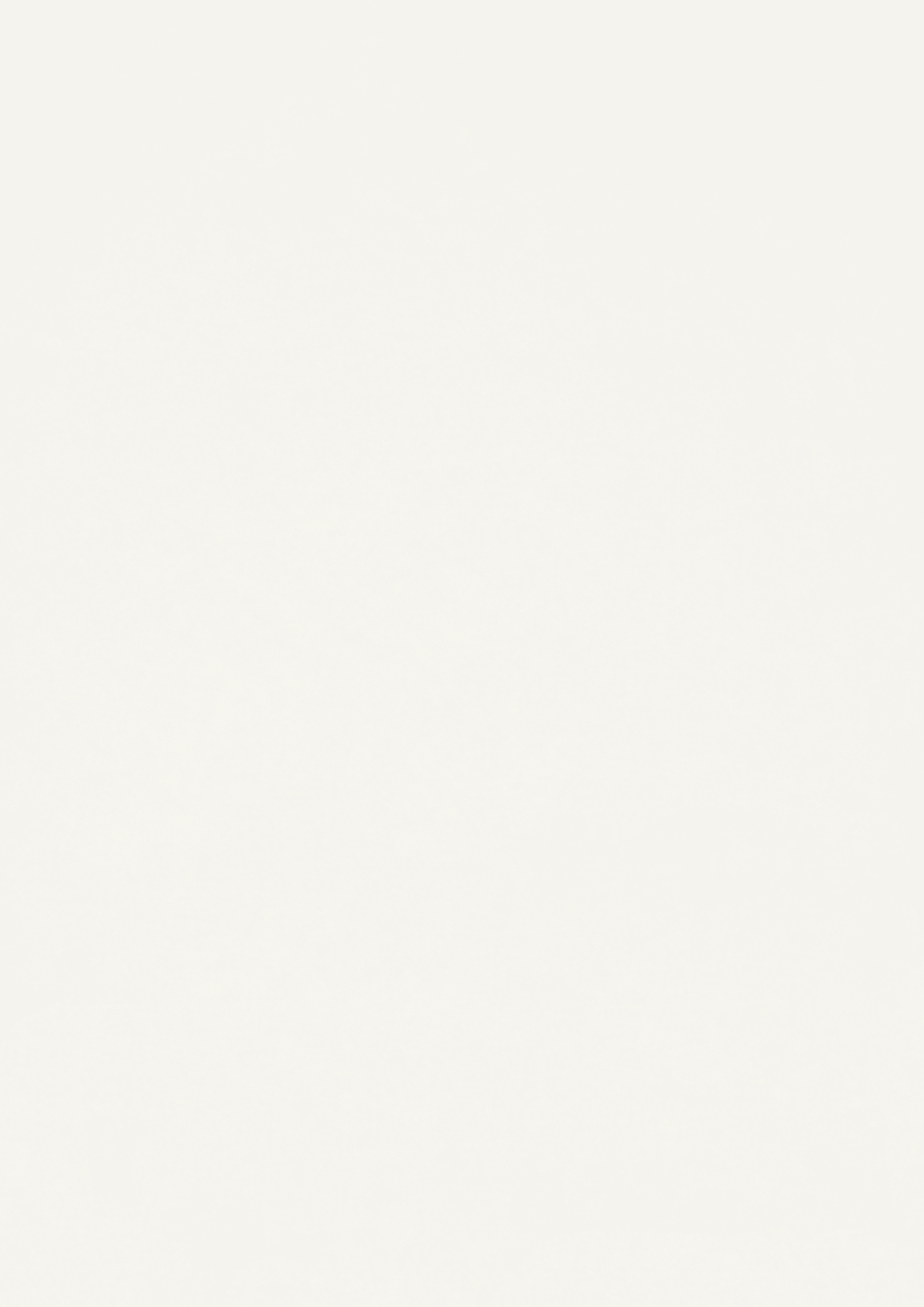 EGGER W960 W960 БЕЛЫЙ КЛАССИЧЕСКИЙ — декор